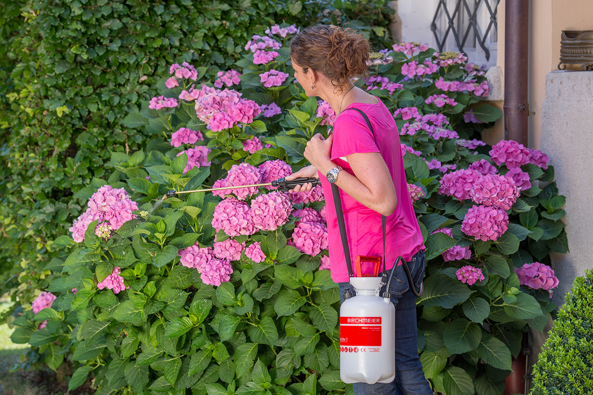 Sprühgerät Garden Star 3 von Birchmeier zum Besprühen von Balkonpflanzen, Kübelpflanzen, Hortensien