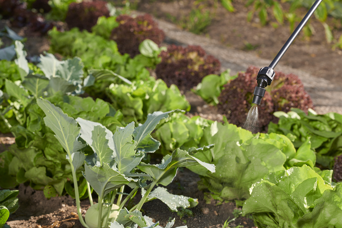 5-Liter Sprühgerät Hobby Star 5 von Birchmeier für Beet, Balkonpflanzen, Kübelpflanzen