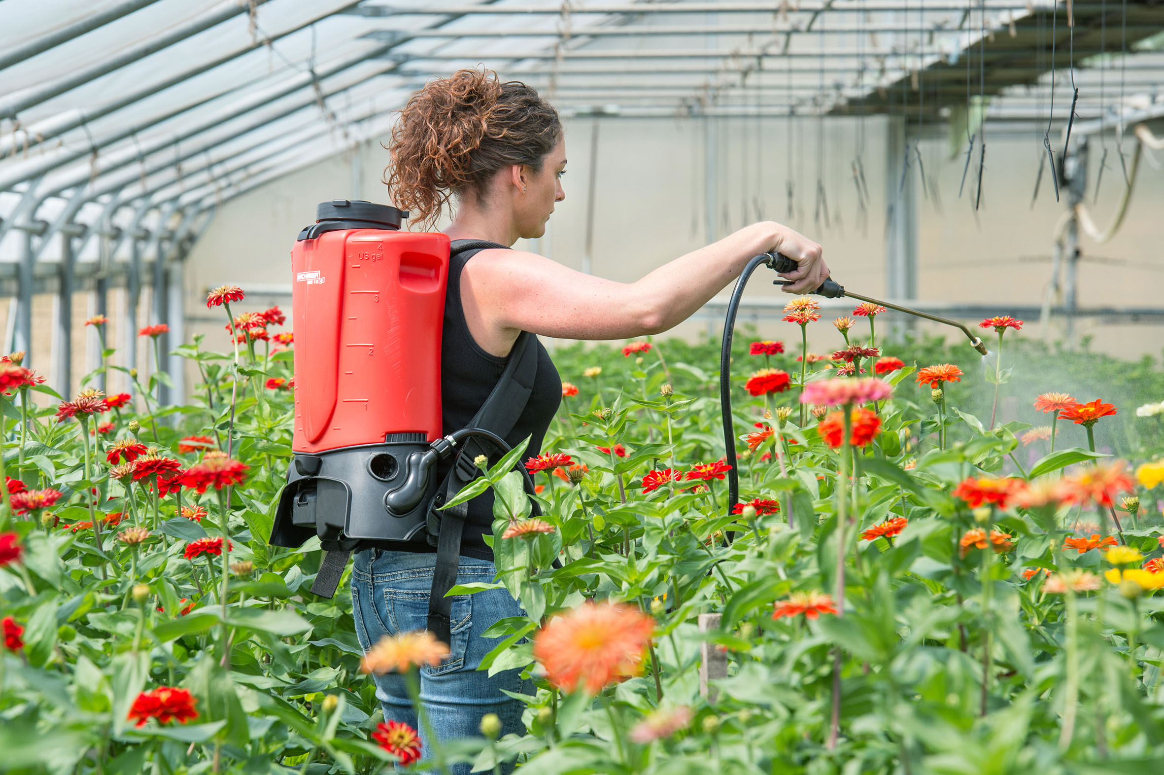 Akku-Rückensprühgerät REC 15 ABZ von Birchmeier zur Behandlung von Schnittblumen, Gärtnerei, Gartenbau