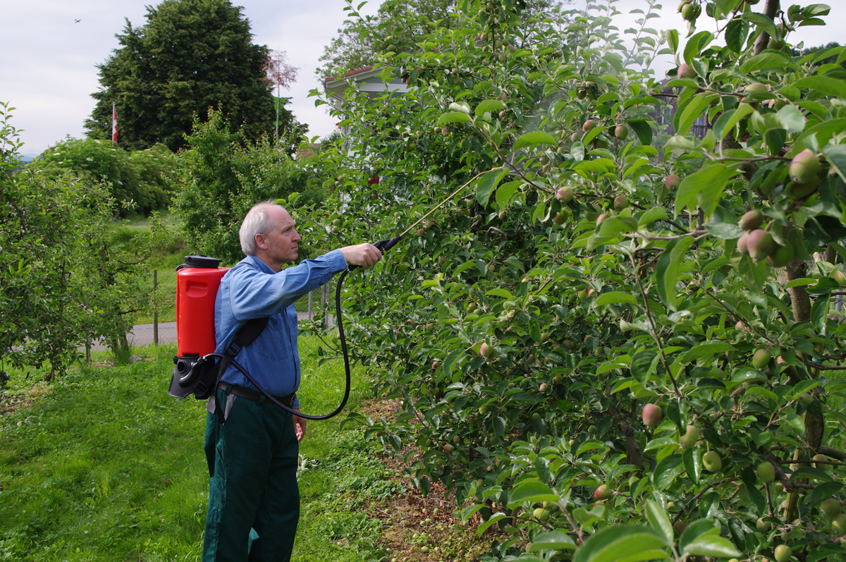 Akku-Rückensprühgerät REC 15 ABZ von Birchmeier zur Behandlung von Obstbäumen, Obstbau