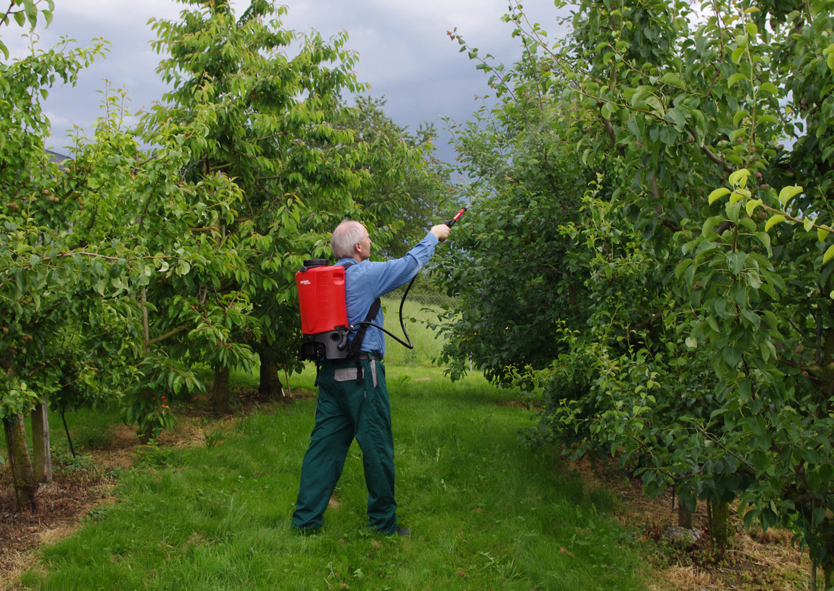 Akku-Rückensprühgerät REC 15 ABZ von Birchmeier zur Behandlung von Obstbäumen, Obstbau