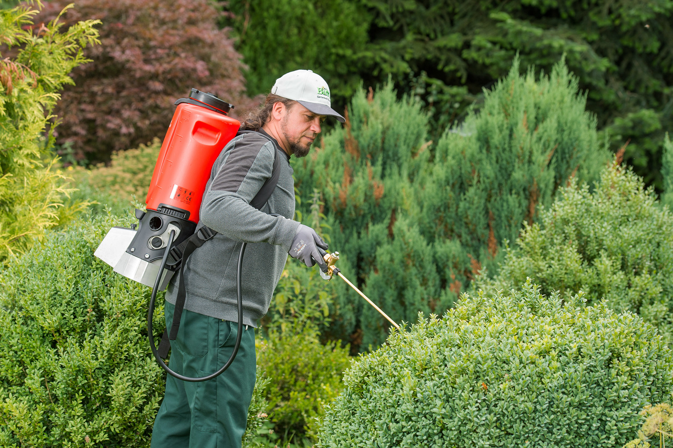 Batteridriven ryggspruta REX 15 med kraftigt Li-Ion-batteri och steglöst justerbart arbetstryck upp till 10 bar