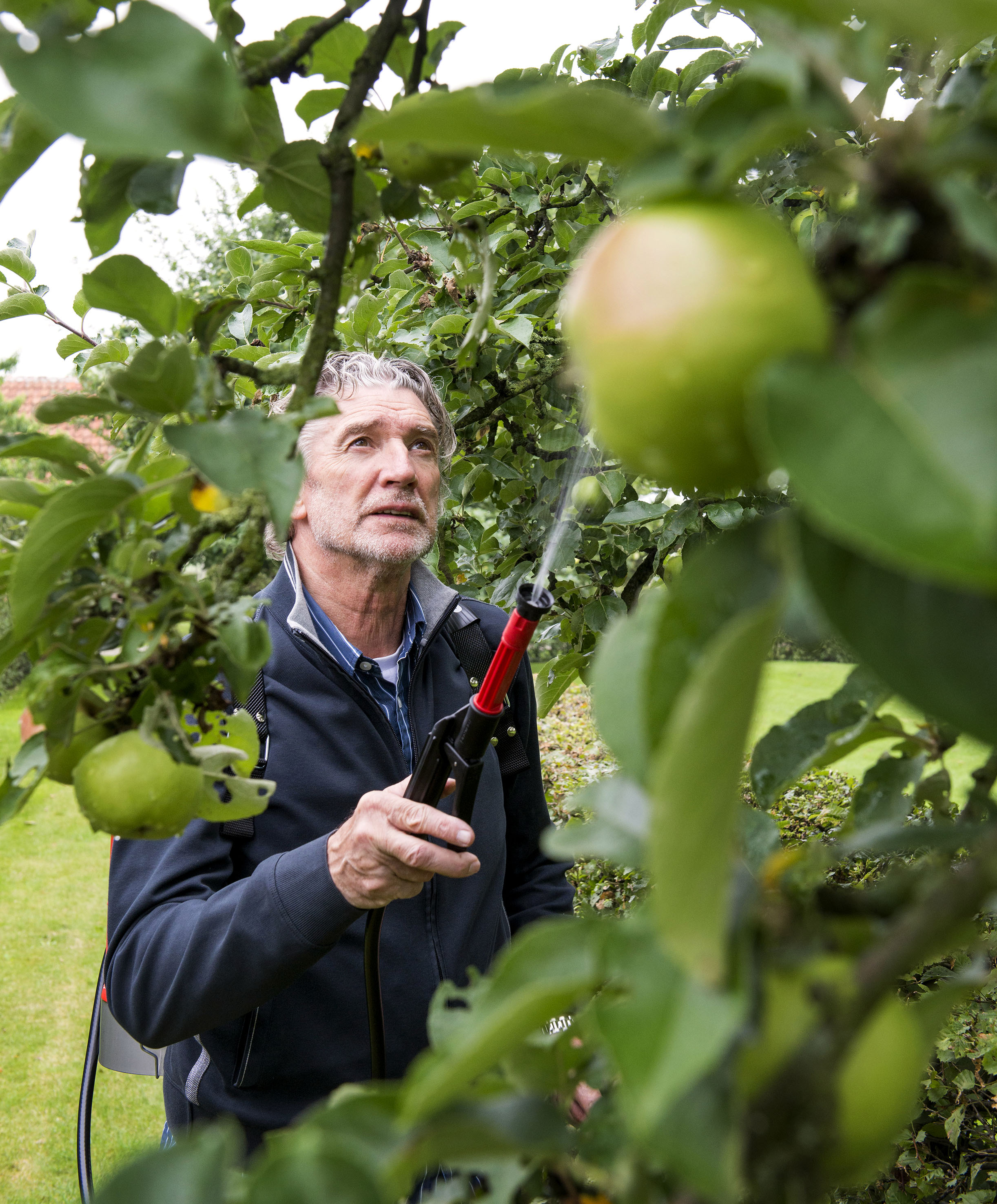 Werfer für Birchmeier Geräte Vario Gun für Behandlung von Obstbäumen, Obstbau